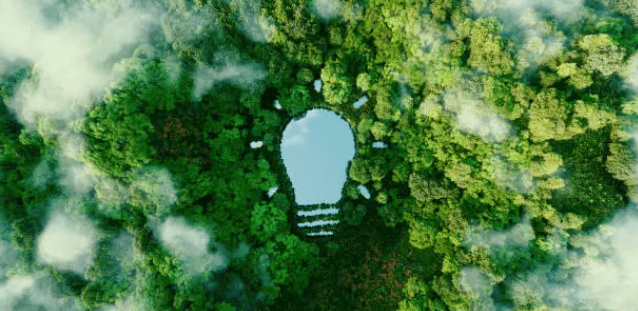 제로웨이스트 관광 산업의 혁신과 지속 가능한 여행 문화