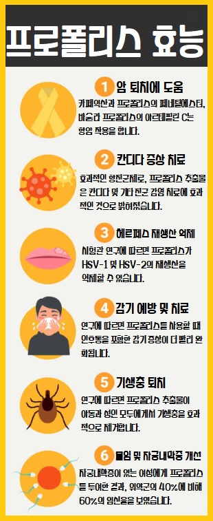 프로폴리스 효능과 복용법 제대로 알기