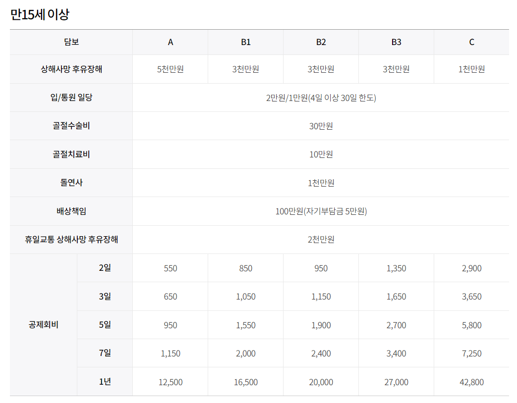 스포츠보험 15세 이상