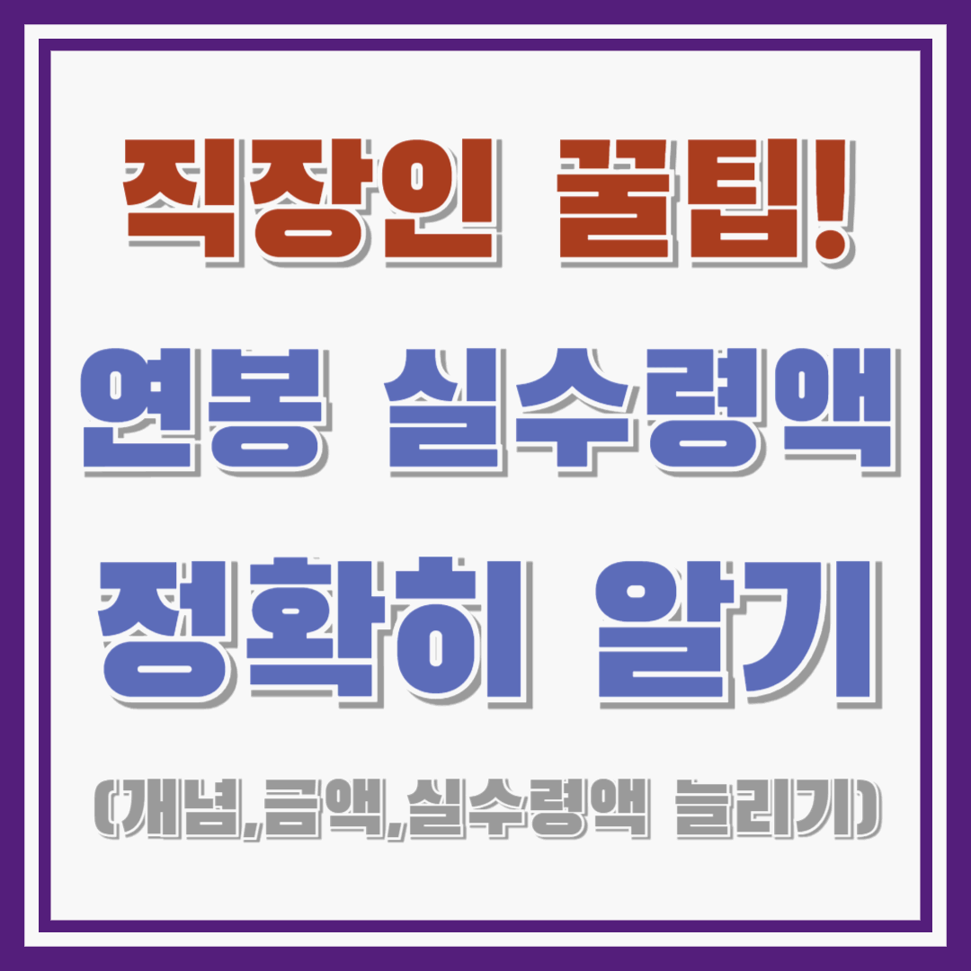 연봉 실수령액 개념 정확히 알기! : 금액, 세전, 세후 월급 비교!