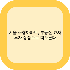 서울 소형 아파트, 부동산의 효자 투자 상품으로 떠오르다