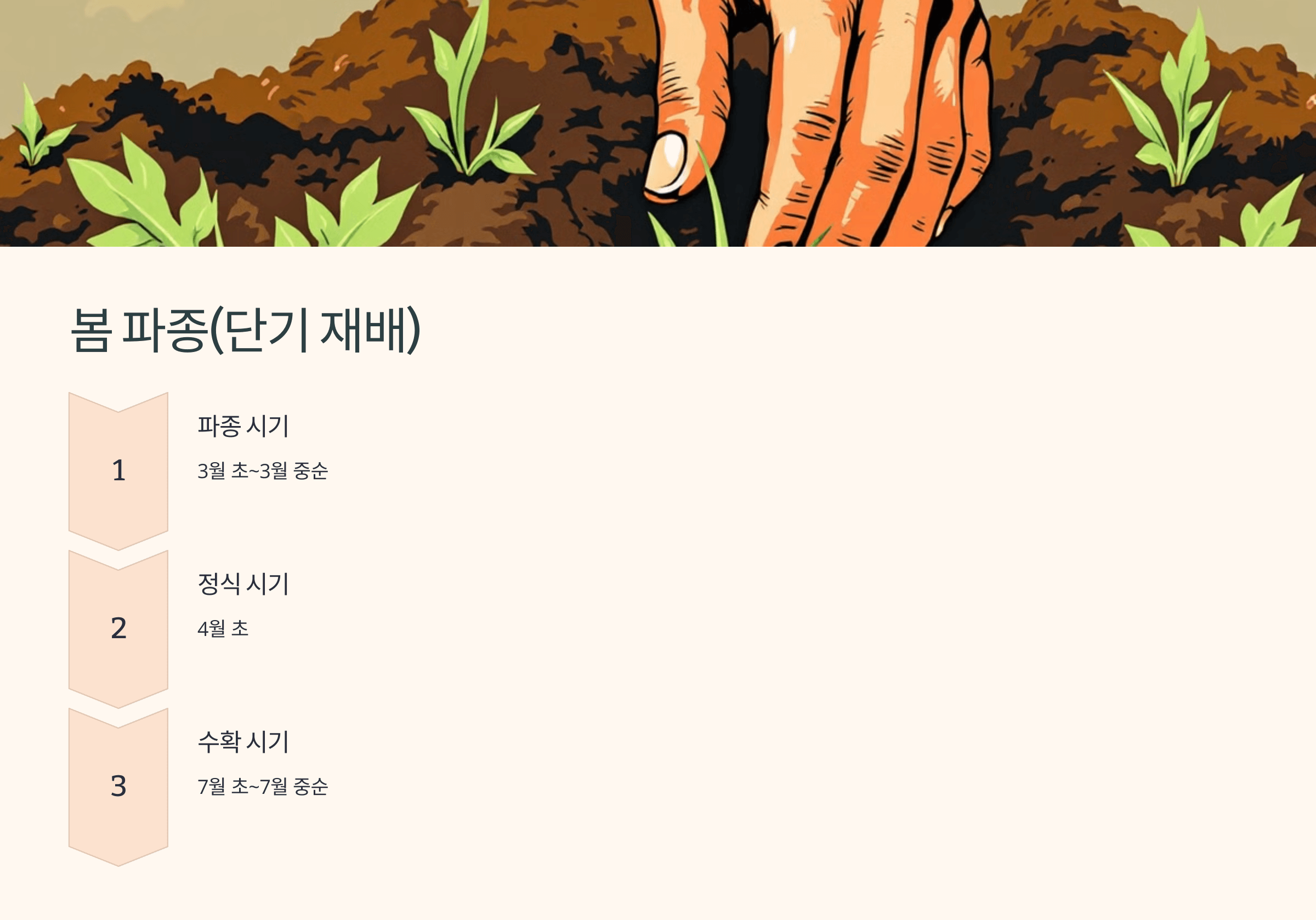 양파 사진입니다.