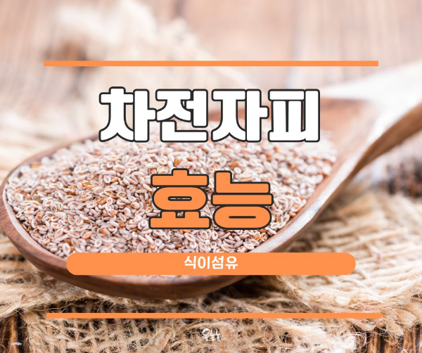 차전자피 효능