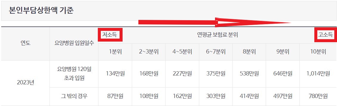 건강보험 본인부담상환액