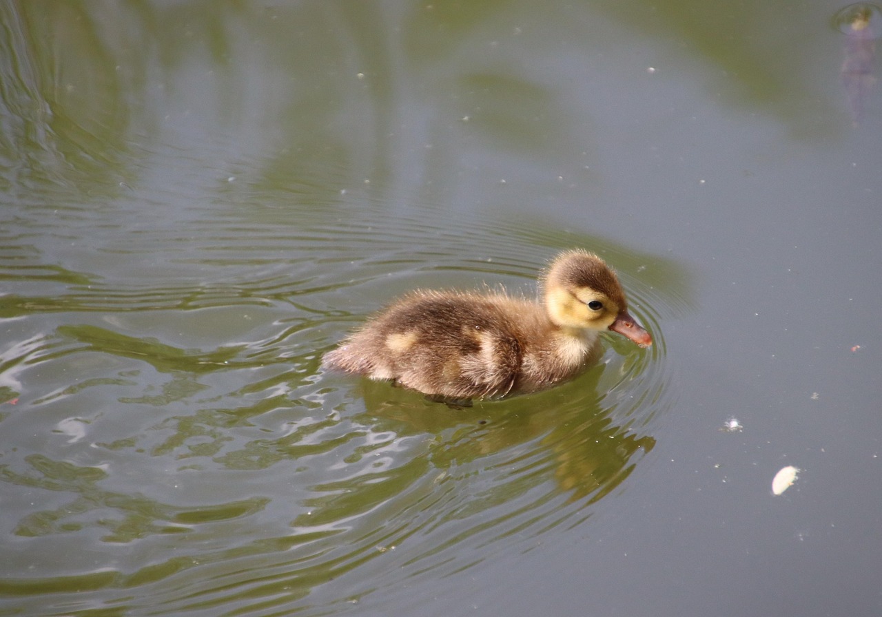 2025 실수령액 계산기