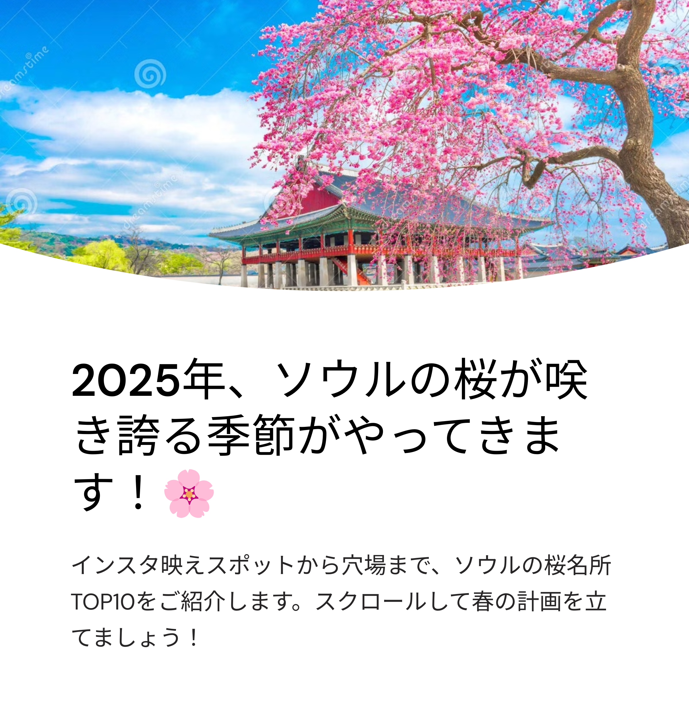 2025年 ソウル桜の名所 TOP 10 完全ガイド - インスタ映えスポットから穴場まで