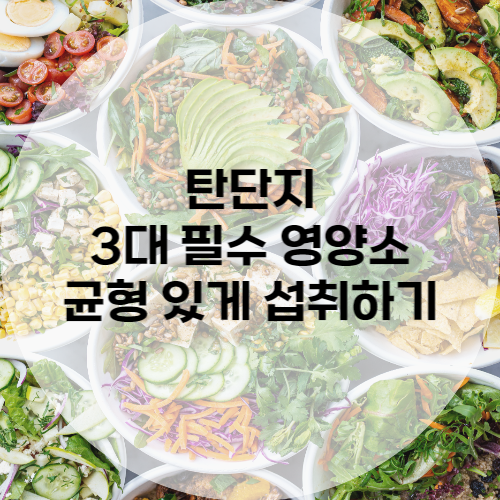 탄단지, 3대 필수 영양소 균형 있게 섭취하기