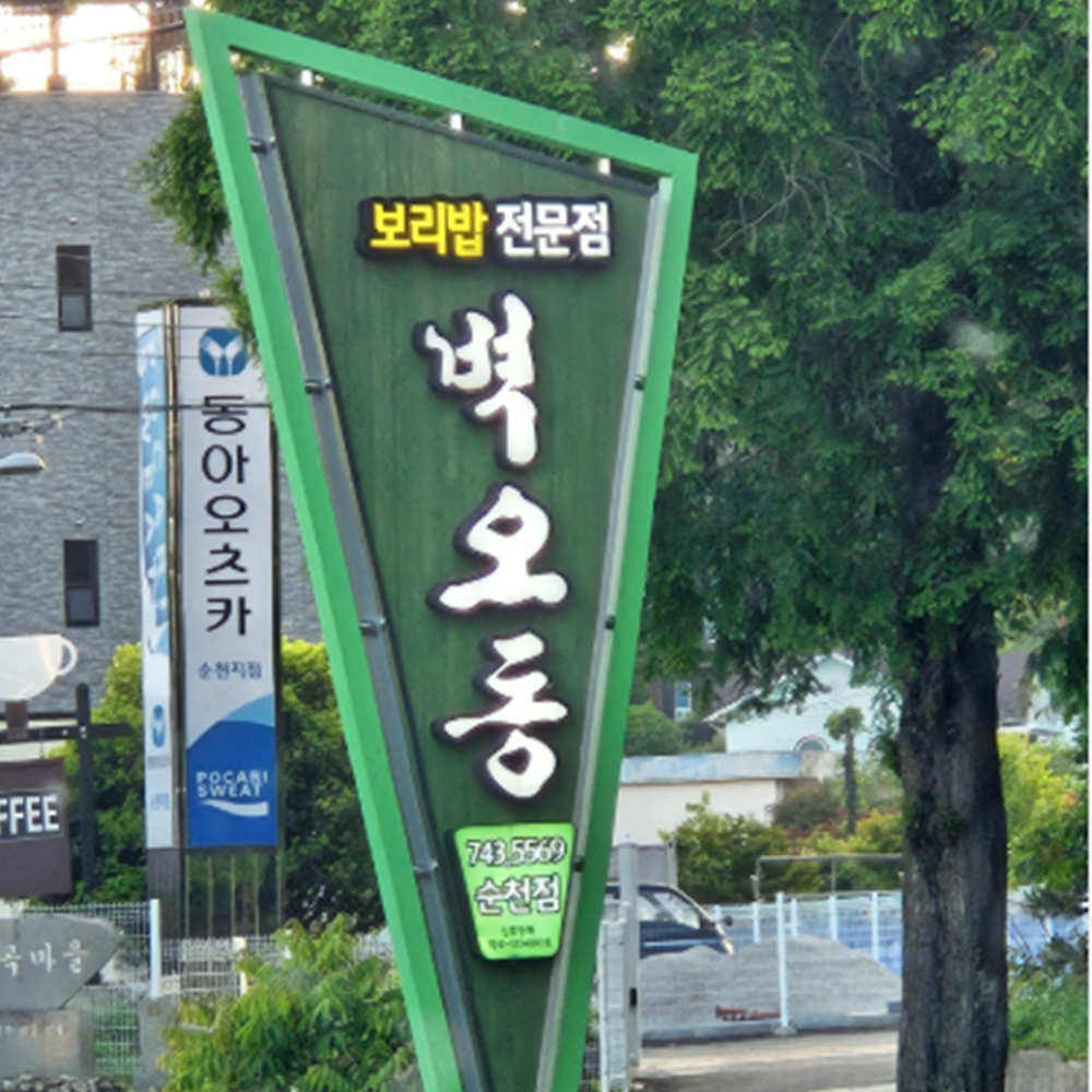 벽오동 