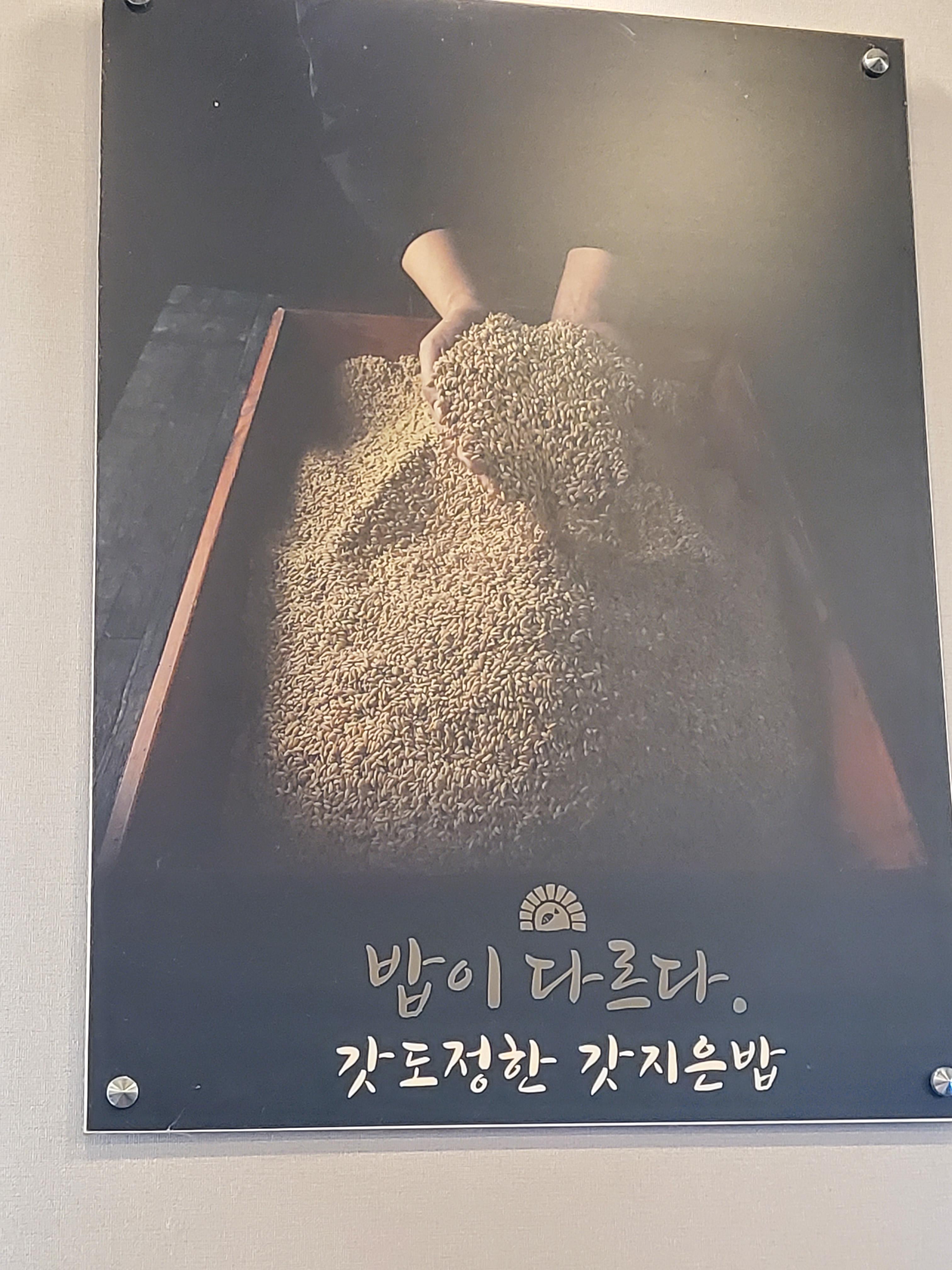 김해_450도_고등어_갓도정한_쌀