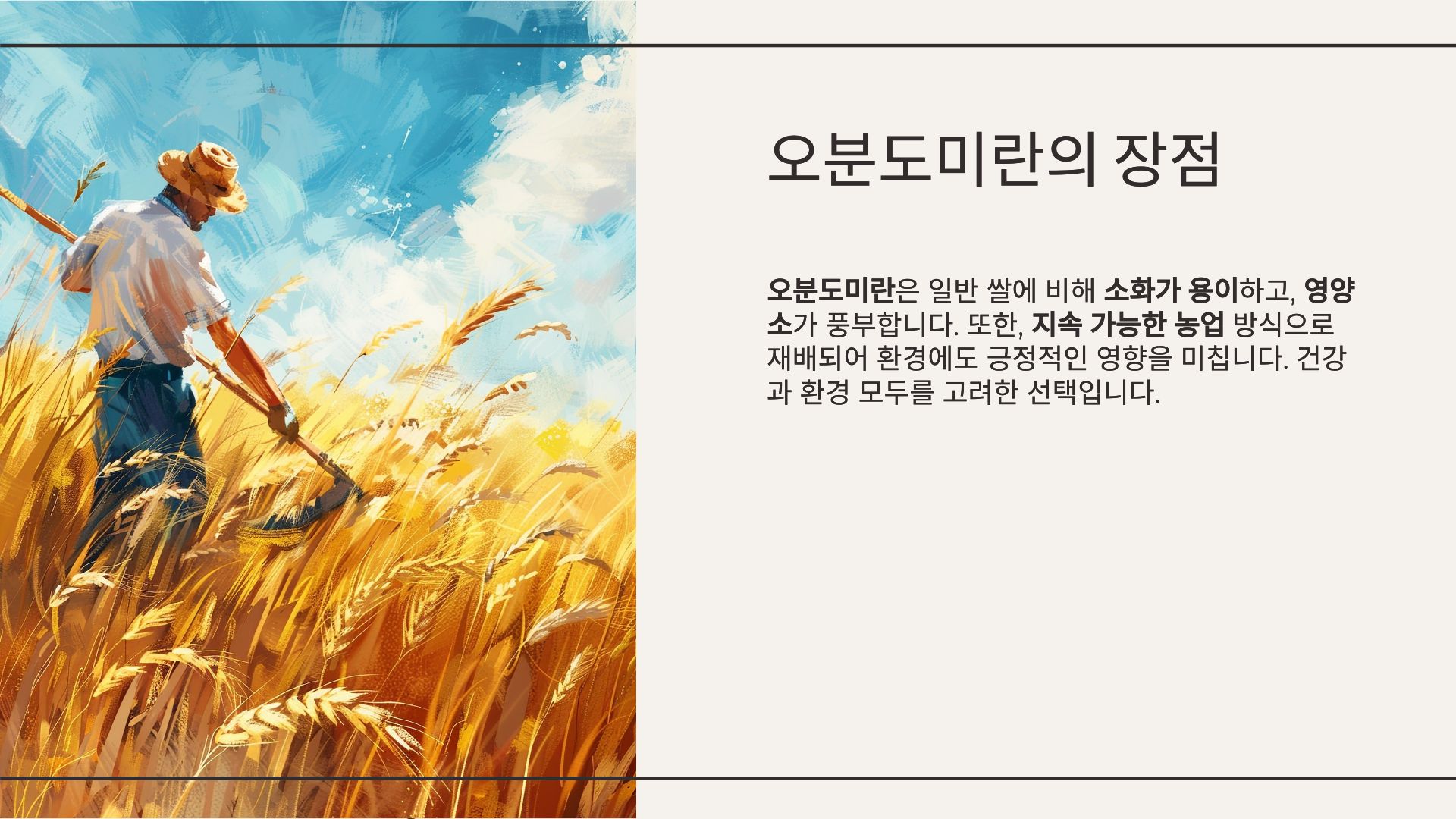 오분도미 뜻 효능 보관법 먹는법