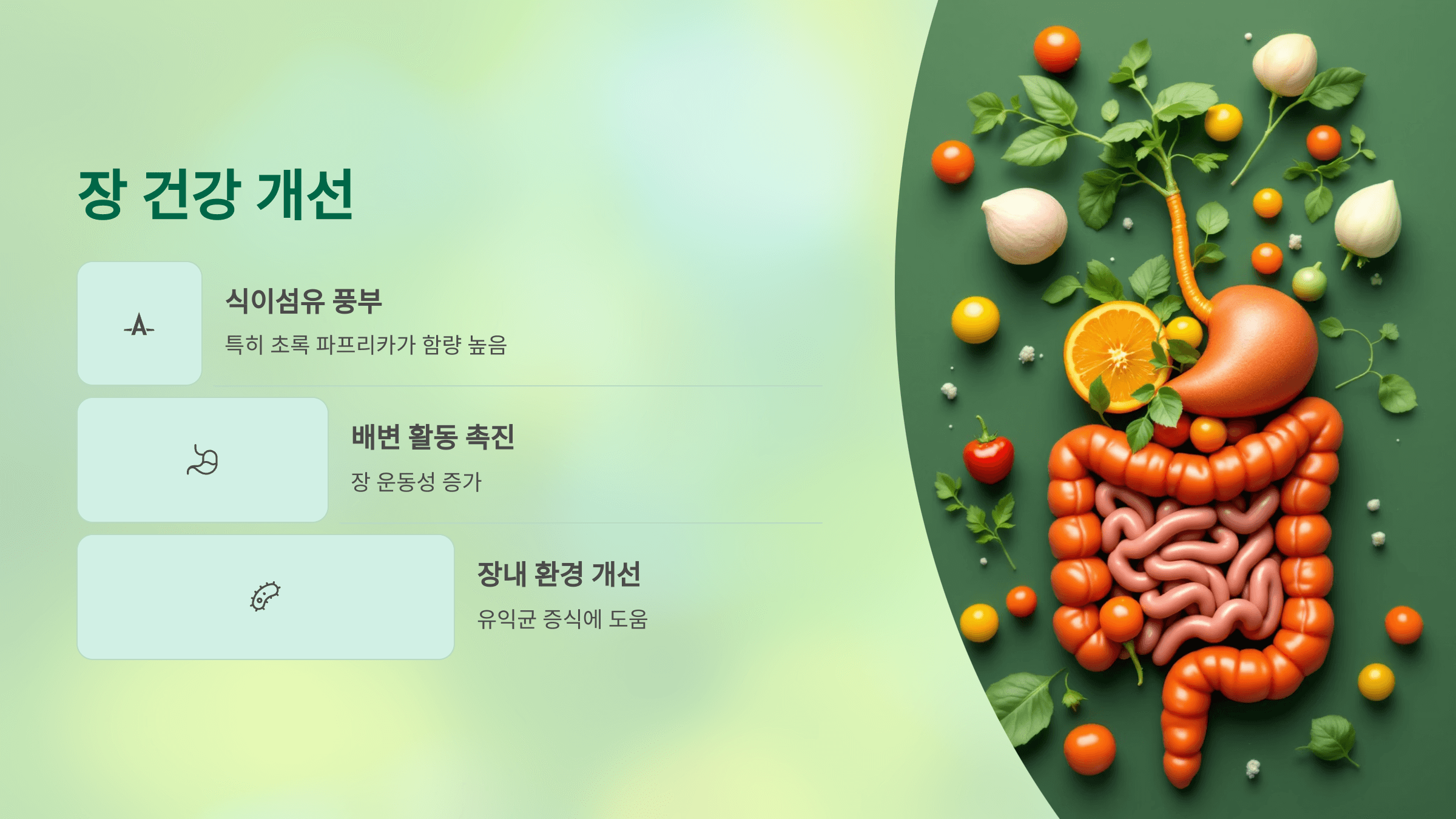 파프리카 사진입니다.