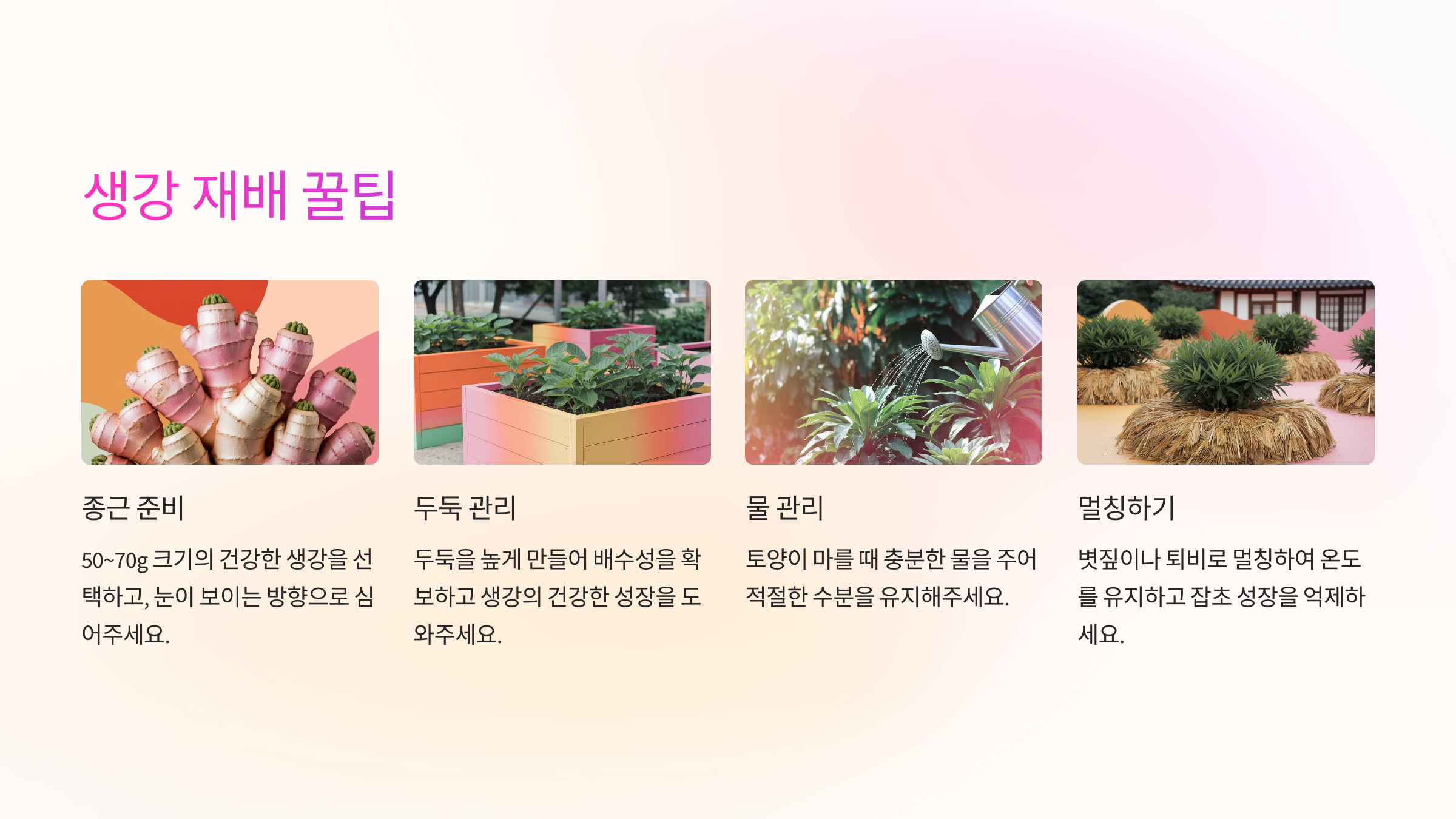 💡 생강 재배 꿀팁 🌱