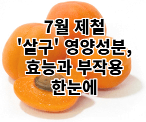 살구