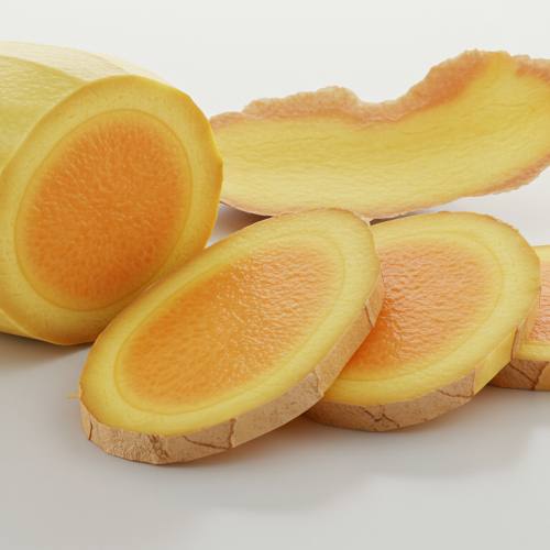 생강 사진