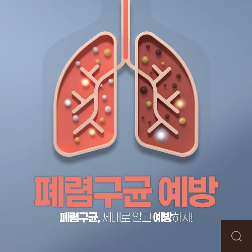 폐렴 예방접종 가격 비용 횟수 총정리