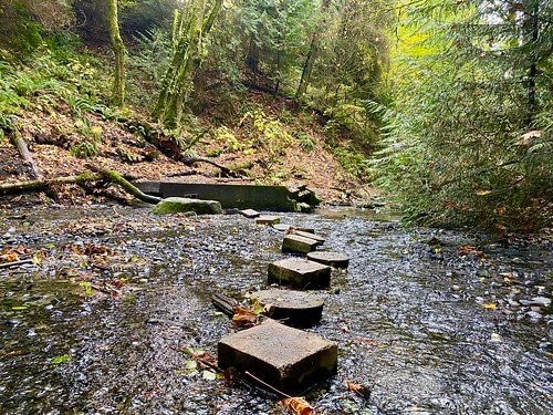 보츠헬 정원 (Boeing Creek Park &amp; Shoreview Park)관련사진