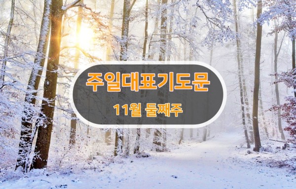 11월 둘째 주 대표 기도문