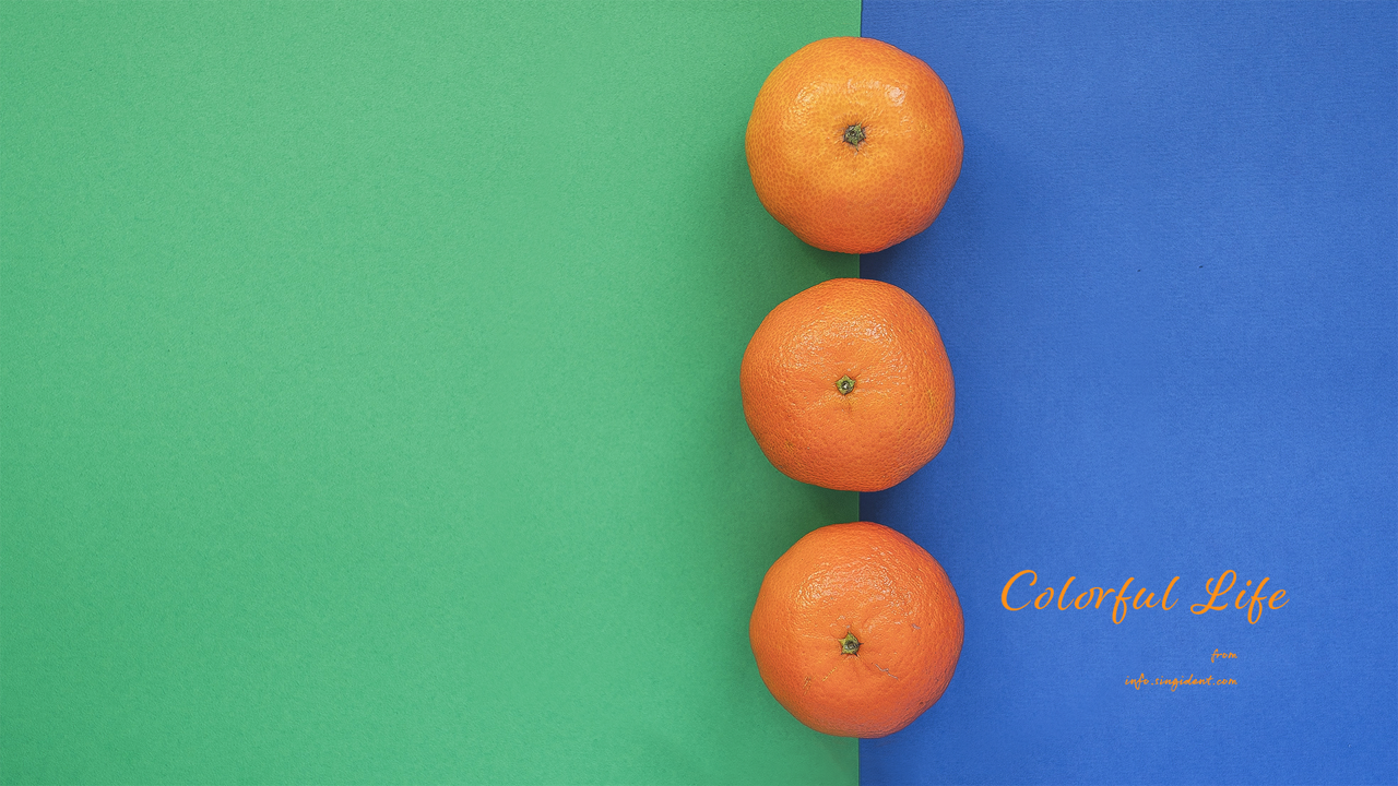 09 감귤 파란색 배경 C - Colorful Life 주황색배경화면