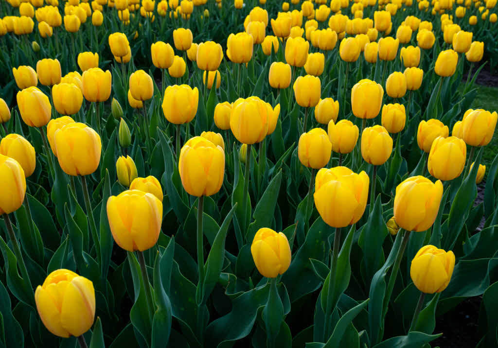 MBTI 성격 유형별 스트레스 해소법