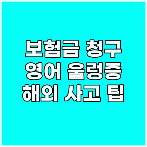 보험금 청구, 영어 울렁증 극복! 해..