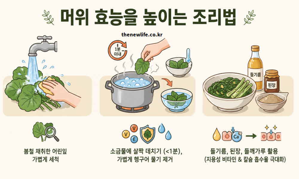 머위 효능 높이는 조리법