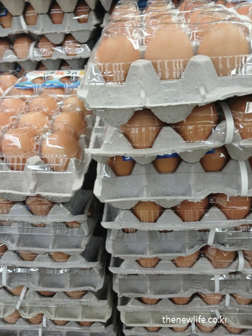 Stacks of eggs in a supermarket – consistently included in the flat belly meal plan/마트에서 진열된 계란 – 똥배 없애는 식단에서 꾸준히 포함된 핵심 단백질 식품