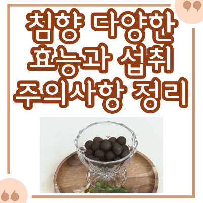 침향의 효능&#44; 침향완 복용법&#44; 고르는 법 총 정리