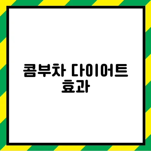 콤부차 다이어트 효과