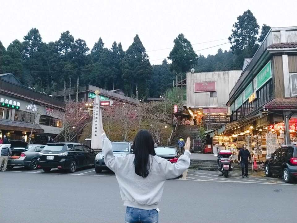 아리산