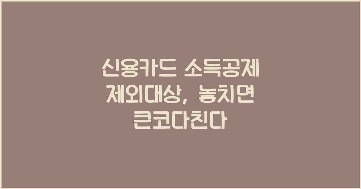 신용카드 소득공제 제외대상