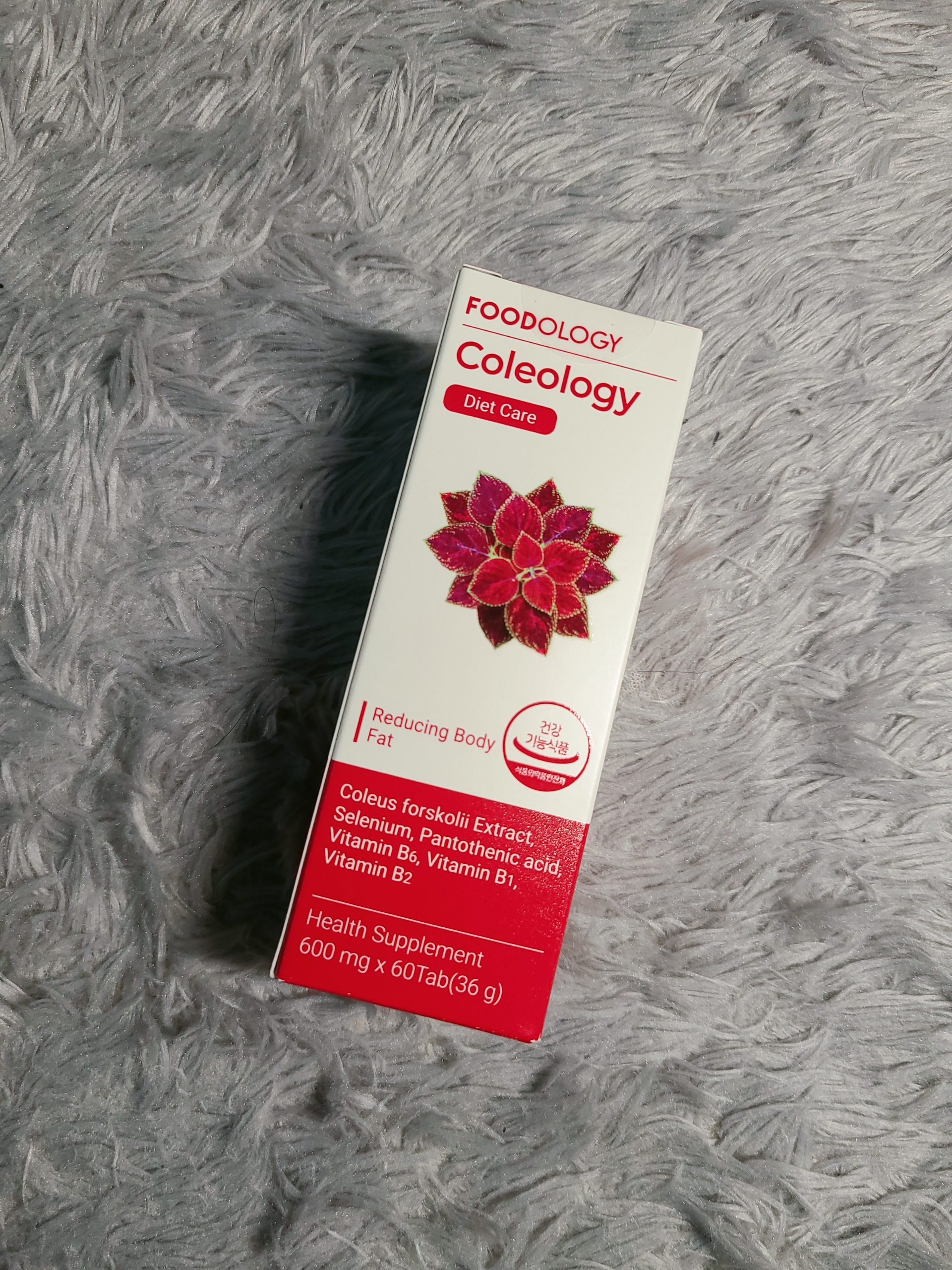 푸드올로지 콜레올로지