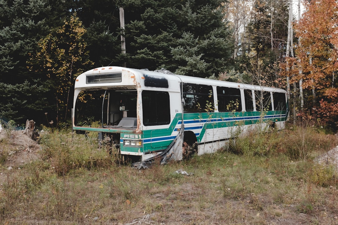 Bus.
