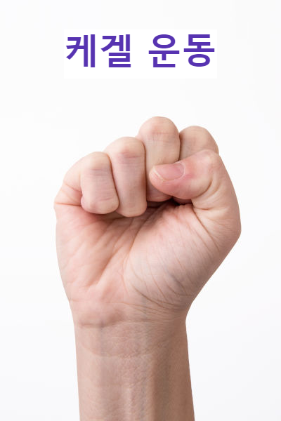 케겔운동
