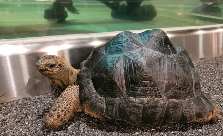 가평 신비동물원