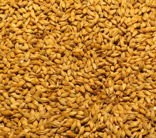 맥주효모의 영양성분