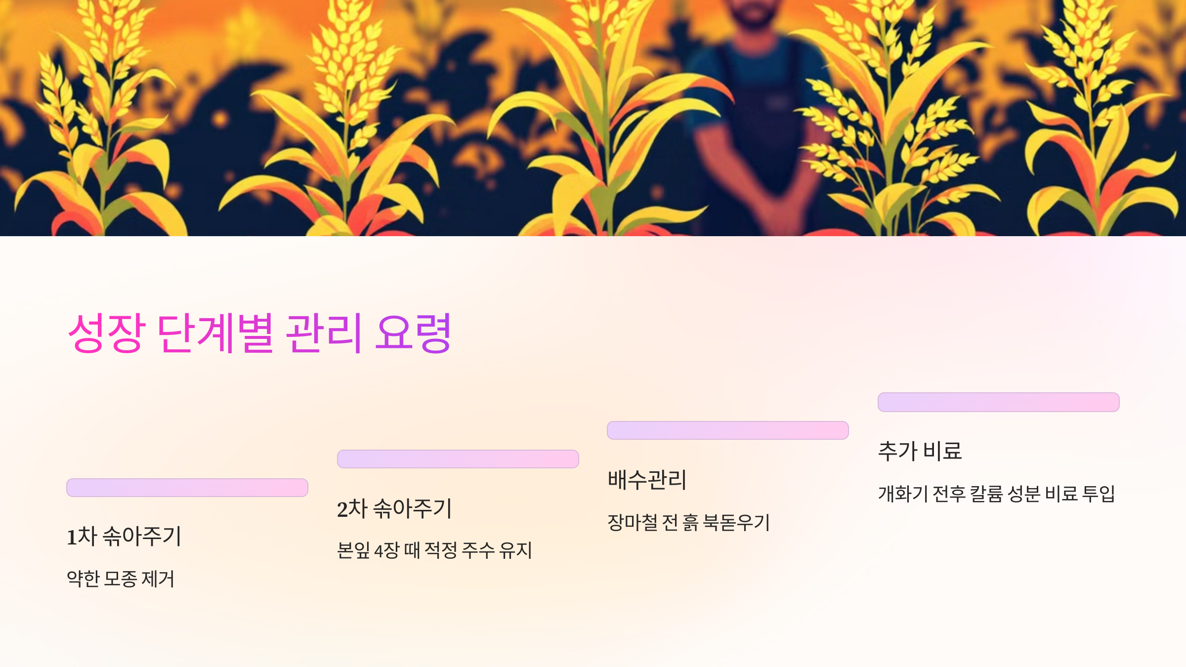 🌿 성장 단계별 관리 요령