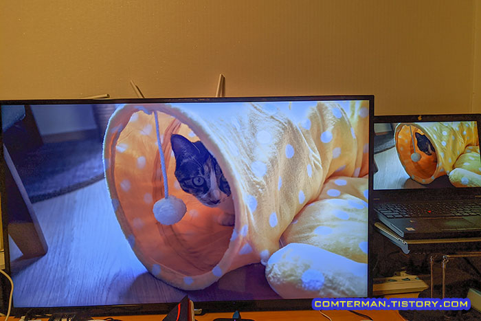 다중 디스플레이 복제 화면 보호기