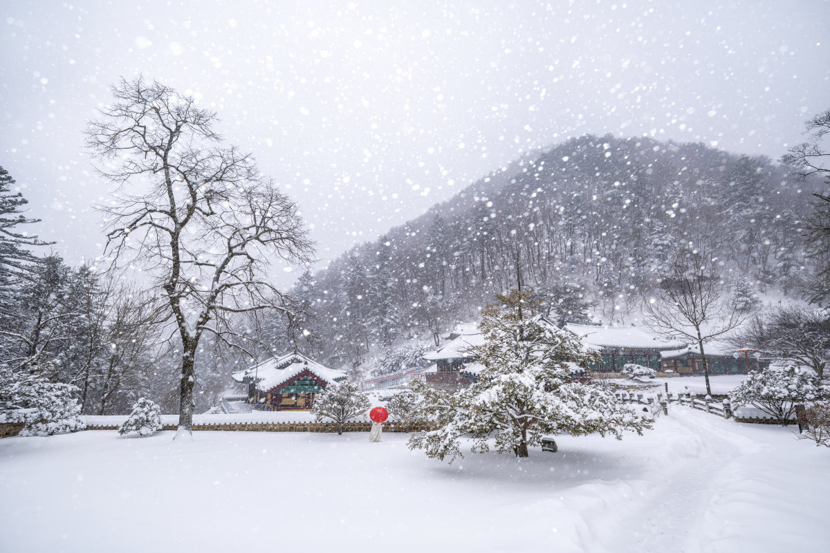 강원도 겨울 여행 명소 추천, 역사·문화·겨울 마을 BEST 4