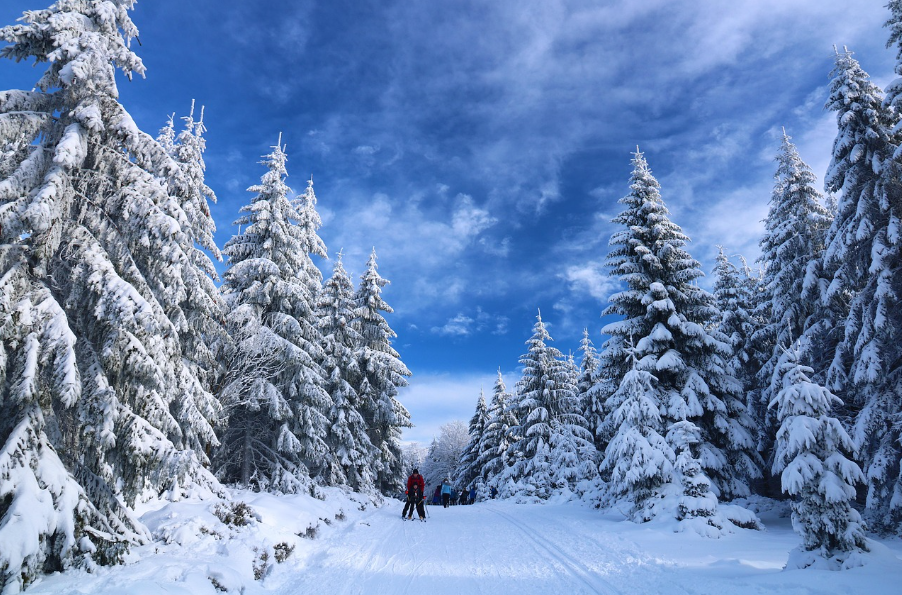 국내외 겨울 산 관련 사진