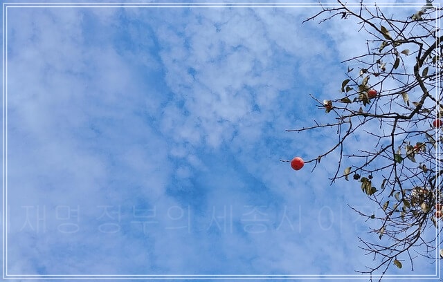 이재명 정부의 세종시 이전 공약, 2025년 7월 기준 어디까지 왔나?