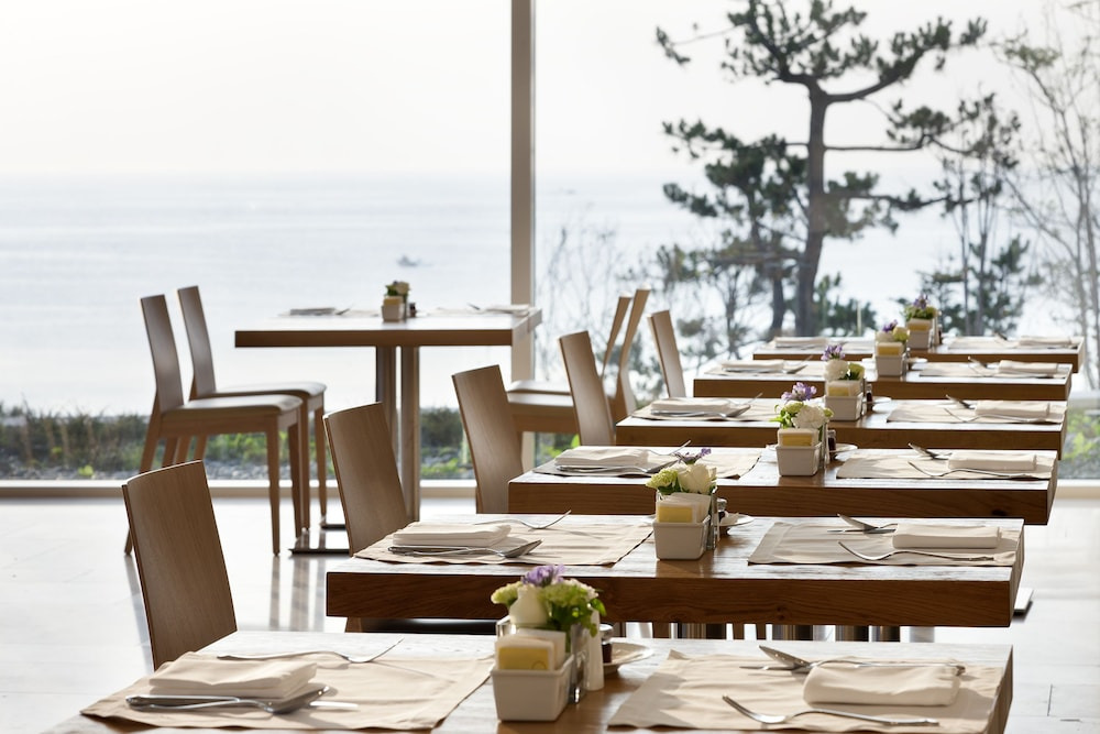 강릉 최고 5성급 오션뷰 호텔 예약 꿀팁