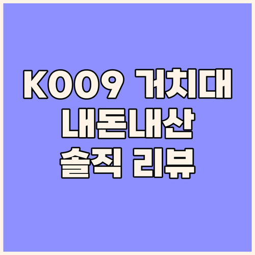 K009 차량용 거치대 솔직 리뷰!