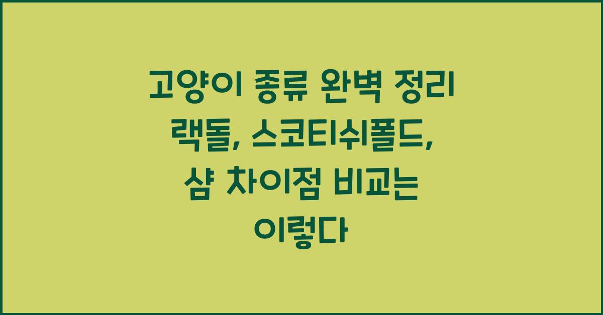 고양이 종류 완벽 정리! 랙돌, 스코티쉬폴드, 샴 차이점 비교