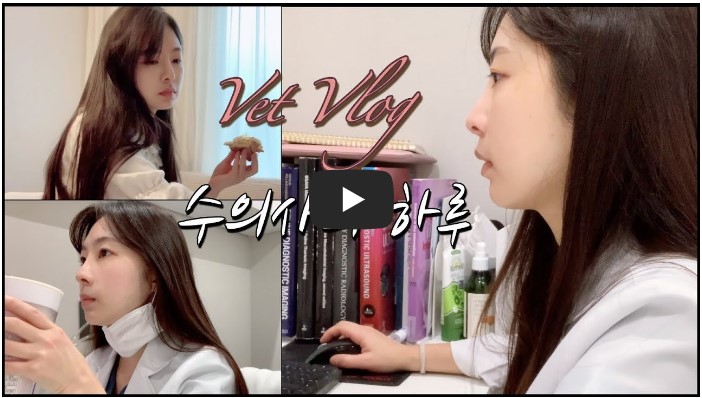 수의사 유튜버 추천 순위 TOP 10 1