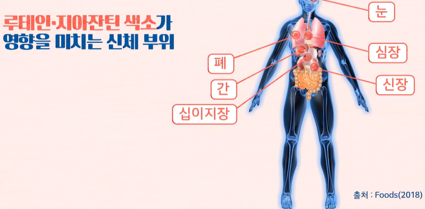 루테인, 지아잔틴 효능