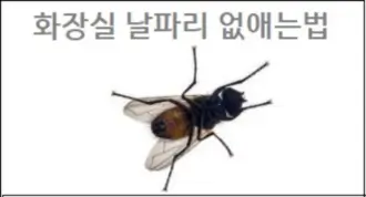 화장실 날파리 없애는법