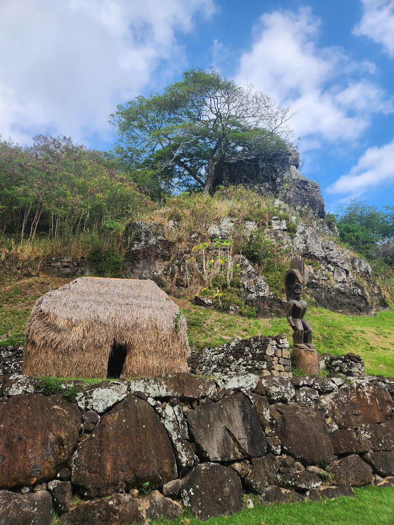 하와이 쿠알로아 랜치 익스피리언스 패키지 정글투어