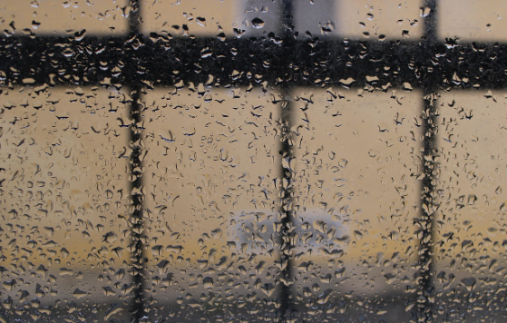 쾌적한 여름을 위한 필수! 제습기 관리법 A to Z