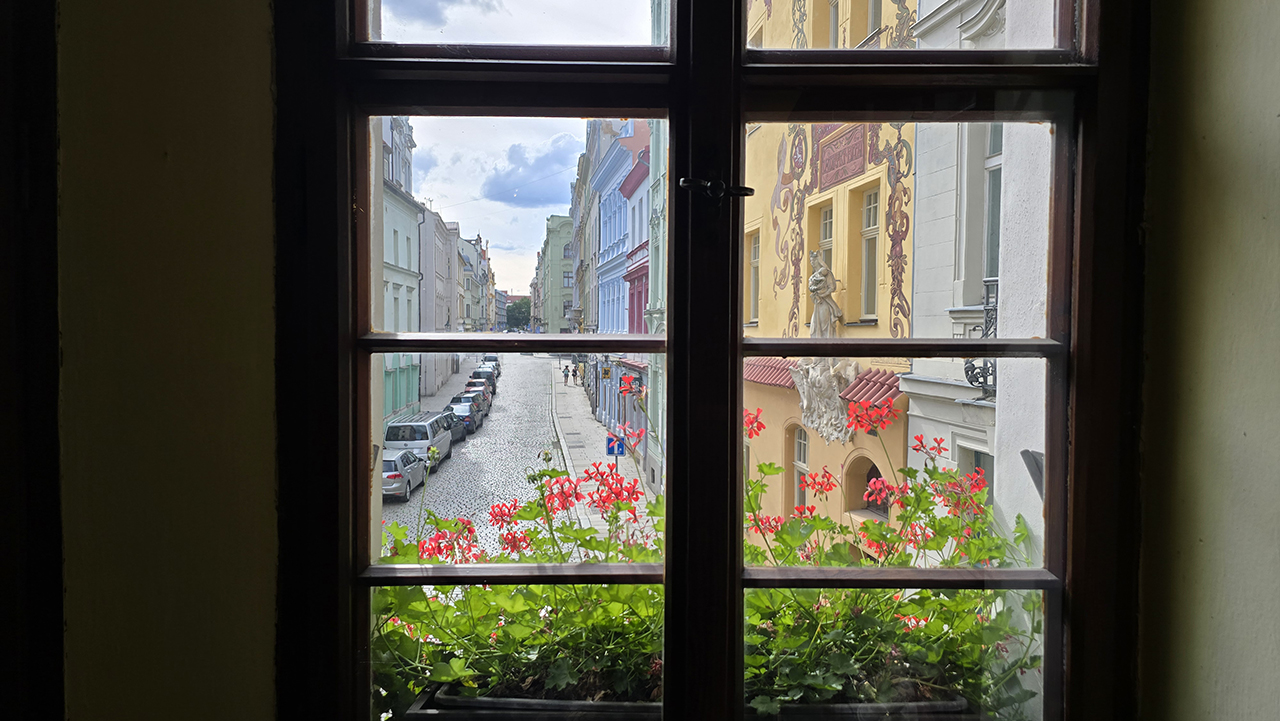 플젠에서 꽃피는 로맨스?