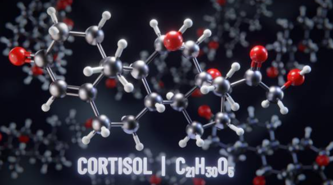 폴리코사놀 6가지 효능 및 제품 추천 (+ 쿠바산 장점 부작용 복용법)